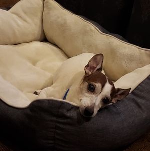 Meet your Posher, Cheri